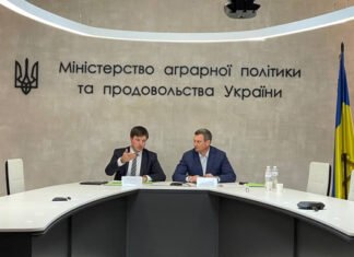 В Украине создадут сеть food bank по примеру Европы: готовят законопроект