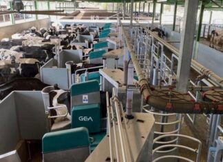 В Киевской области построят крупнейшую в мире роботизированную ферму