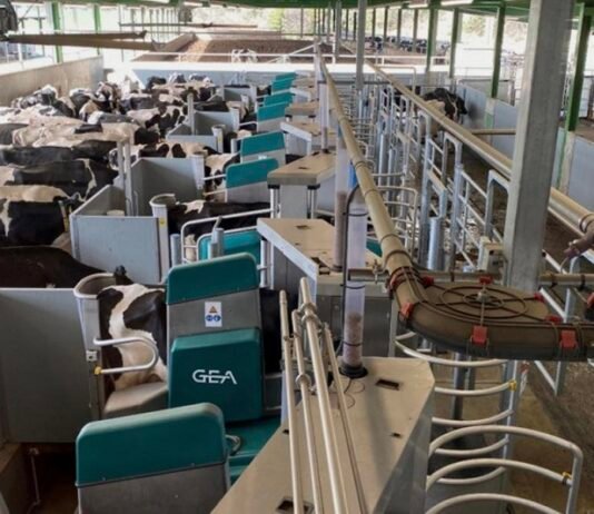 В Киевской области построят крупнейшую в мире роботизированную ферму