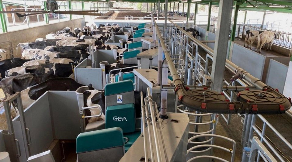 В Киевской области построят крупнейшую в мире роботизированную ферму