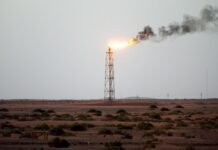 WSJ: Крупнейшая нефтяная компания мира хочет купить украинские дроны для защиты месторождений