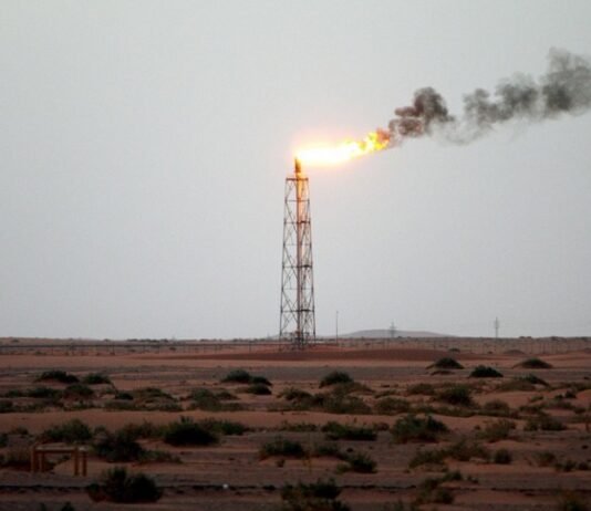 WSJ: Крупнейшая нефтяная компания мира хочет купить украинские дроны для защиты месторождений