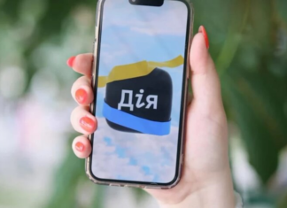 Запрет на кредиты: в «Дие» появится полезная кнопка от мошенников