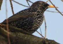 Весеннее потепление: в Запорожье на выходных ожидают до 10° тепла