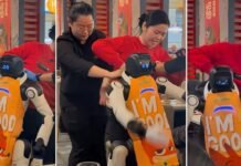 Почему робот в ресторане в США «сошел с ума»: известна причина (видео)