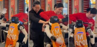 Почему робот в ресторане в США «сошел с ума»: известна причина (видео)