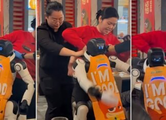 Почему робот в ресторане в США «сошел с ума»: известна причина (видео)