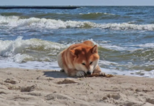 В Украину идет настоящая весна: синоптик назвала точную дату потепления