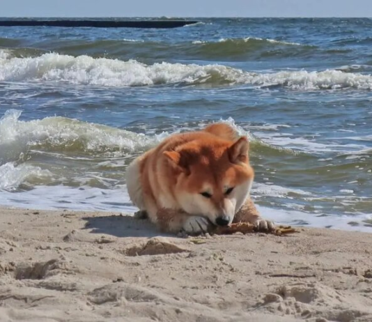 В Украину идет настоящая весна: синоптик назвала точную дату потепления