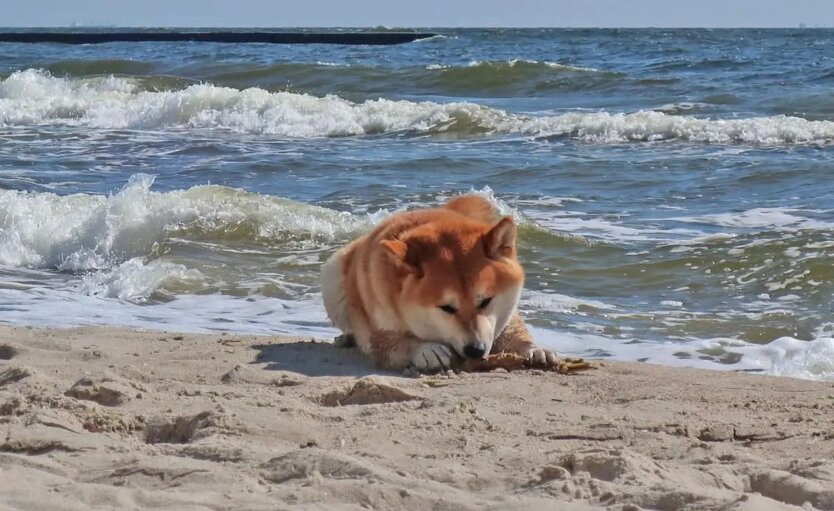 В Украину идет настоящая весна: синоптик назвала точную дату потепления