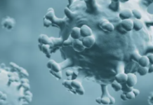 В Запорожской области от гриппа умер 71-летний мужчина