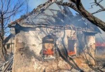 В Запорожском районе во время пожара в доме травмировалась женщина