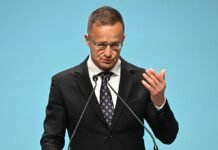 Сийярто обвинил страны Балтии в том, что они «играют под дудку Зеленского»