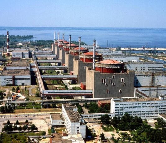 Greenpeace: доказательств украинских обстрелов ЗАЭС нет, повреждения нанесены российскими действиями