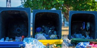 Пару на дороге остановили мусорные баки: дальше произошло «совсем непредсказуемое» (видео)