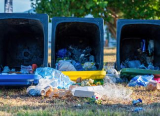 Пару на дороге остановили мусорные баки: дальше произошло «совсем непредсказуемое» (видео)