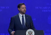 «Это абсурдно. Это неприемлемо»: Вэнс раскритиковал слова Зеленского об Орбане