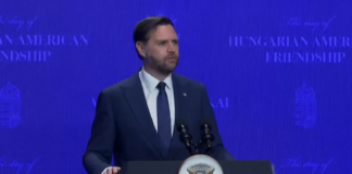 «Это абсурдно. Это неприемлемо»: Вэнс раскритиковал слова Зеленского об Орбане