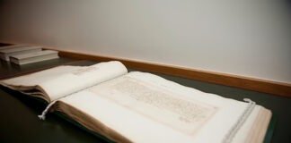 Деньги или чувства: расшифровано самое старое в мире любовное письмо — потребовалось 540 лет