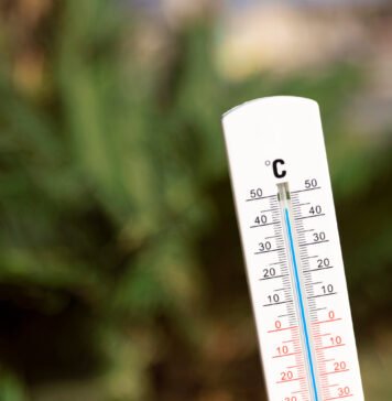 Украину накроет полярный холод: синоптики предупредили о похолодании