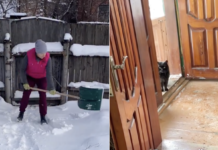 Украинцы купили дом, а там их ждал сюрприз: «Мы не ожидали» (фото)