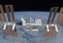 На Международную космическую станцию летит новый экипаж длиной всего 1 миллиметр (фото)