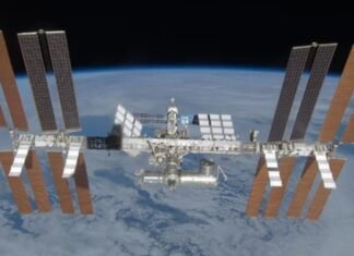 На Международную космическую станцию летит новый экипаж длиной всего 1 миллиметр (фото)