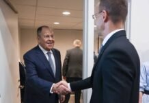 Передавал документы по вступлению Украины в ЕС: в сеть слили новые разговоры Сийярто и Лаврова, — СМИ