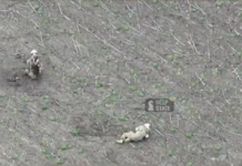 «Убили раненых»: в DeepState показали, как россияне нарушили «Пасхальное перемирие» (видео)