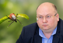 Киев атакует болезнь Лайма: какие симптомы и как не допустить менингит