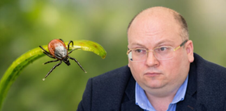 Киев атакует болезнь Лайма: какие симптомы и как не допустить менингит