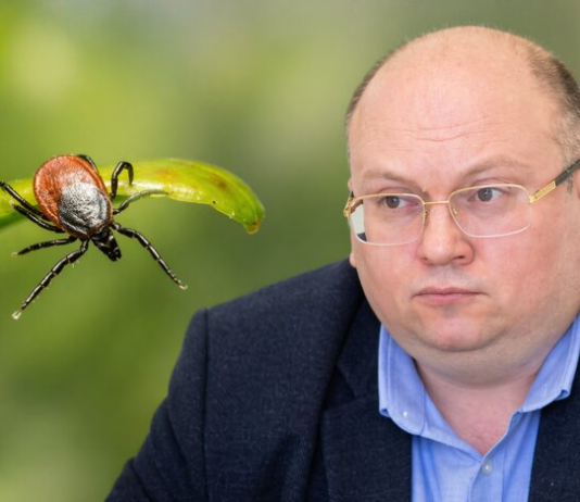 Киев атакует болезнь Лайма: какие симптомы и как не допустить менингит