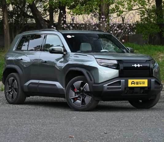 В Украину возвращается спрос на авто из Китая: покупают не только электромобили (фото)