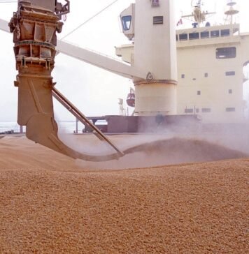 «Это не доказательства»: в Израиле ответили на заявление Украины относительно судна с краденым зерном