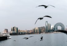 Альтернатива Ормузскому проливу: как Каспийское море превращается в один из ключевых логистических маршрутов