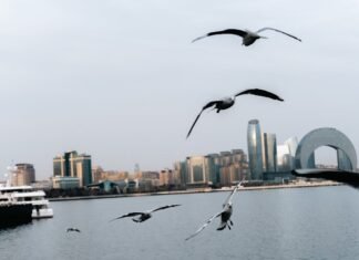 Альтернатива Ормузскому проливу: как Каспийское море превращается в один из ключевых логистических маршрутов