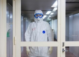 Новая вспышка в Украине: какая область лидирует по количеству случаев хантавируса