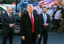 Трамп прокомментировал ситуацию с хантавирусом: ранее в США закрыли центры, которые его исследовали