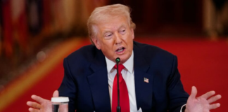 FT: Путин и Зеленский потеряли интерес к посредничеству Трампа