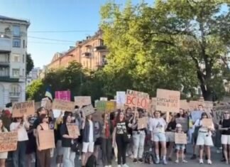 От Киева до Львова: в Украине уже третий день проходят митинги за Федорова (видео)