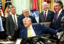 Девятизначная сумма: Трамп официально задекларировал огромный доход от криптовалютных проектов
