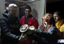 У берегов Италии обнаружен затонувший корабль: он перевозил 300 амфор с неизвестным содержимым (фото)