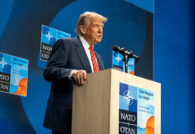 «Это должно контролироваться США»: Трамп вспомнил о Гренландии на саммите НАТО