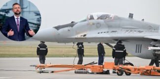 Польша поможет с МиГ-29: названо условие модернизации истребителей для Украины