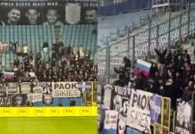 Греческие болельщики устроили провокацию с российским триколором на матче «Динамо» (видео)