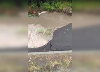 После ливня затопило Национальное военное мемориальное кладбище в Киевской области (видео)