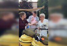 Женщина старше мужа на 28 лет: украинская супружеская пара рассказала, почему они любят друг друга (видео)