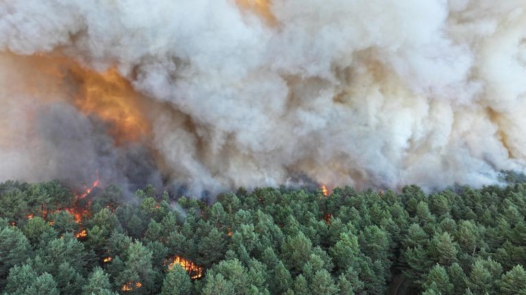 Франция охвачена пожарами: под Парижем горит лес Фонтенбло, празднование Дня взятия Бастилии под угрозой срыва