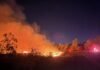 Во Франции из-за лесных пожаров задержали сотни человек: что известно