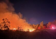 Во Франции из-за лесных пожаров задержали сотни человек: что известно